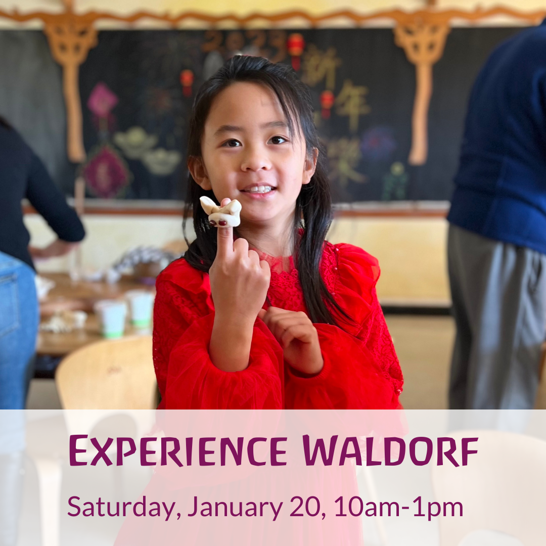 Social Experience Waldorf 2024 6.39.46 PM.png