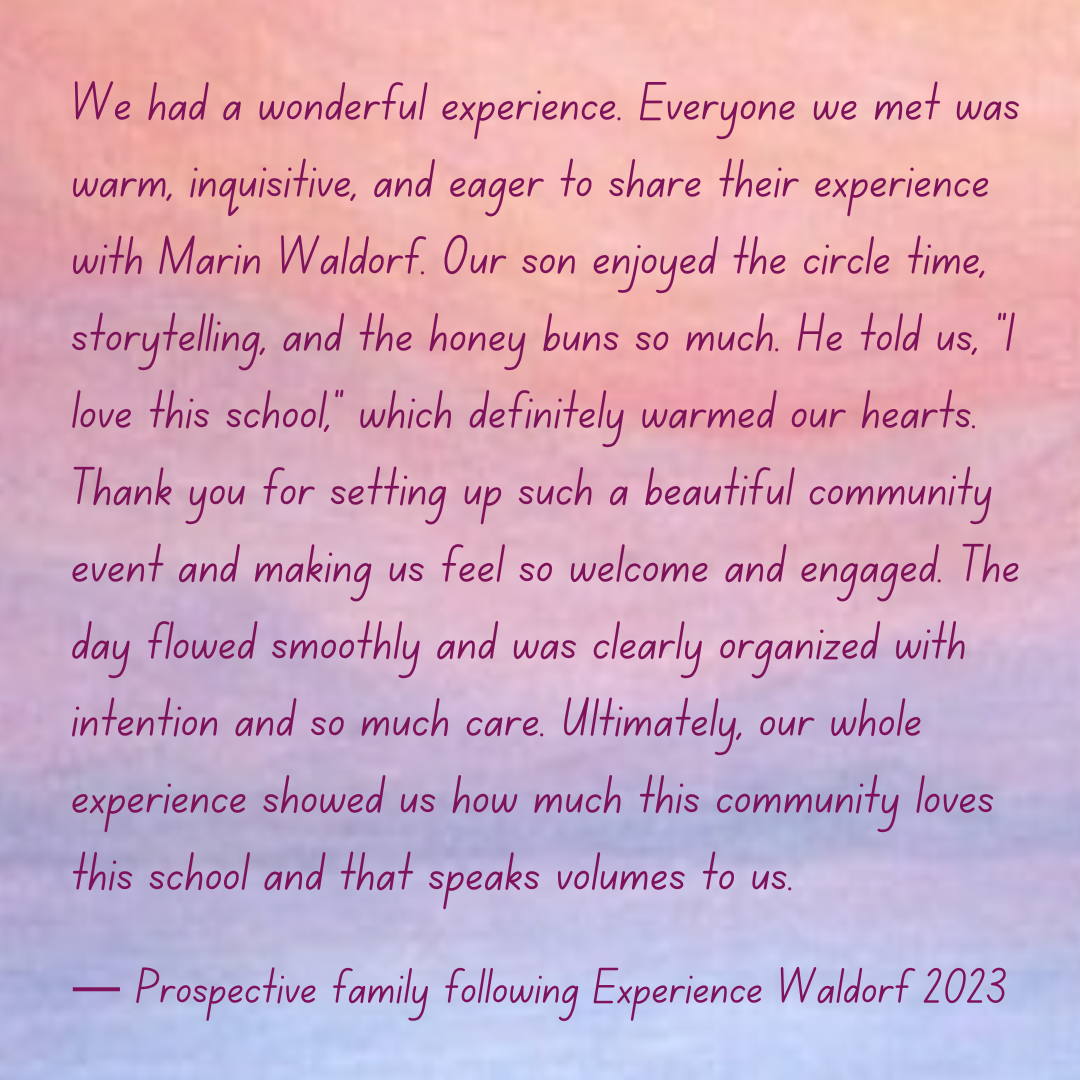 Social Experience Waldorf 2024(7) 6.39.46 PM.png