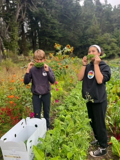 image8.jpeg
