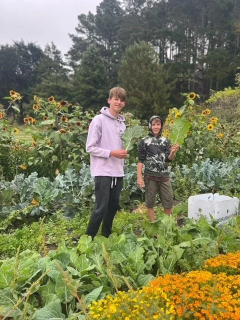 image15.jpeg