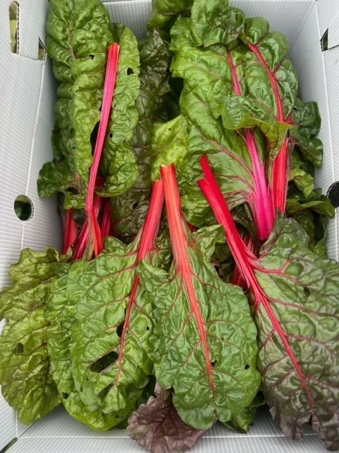 image16.jpeg
