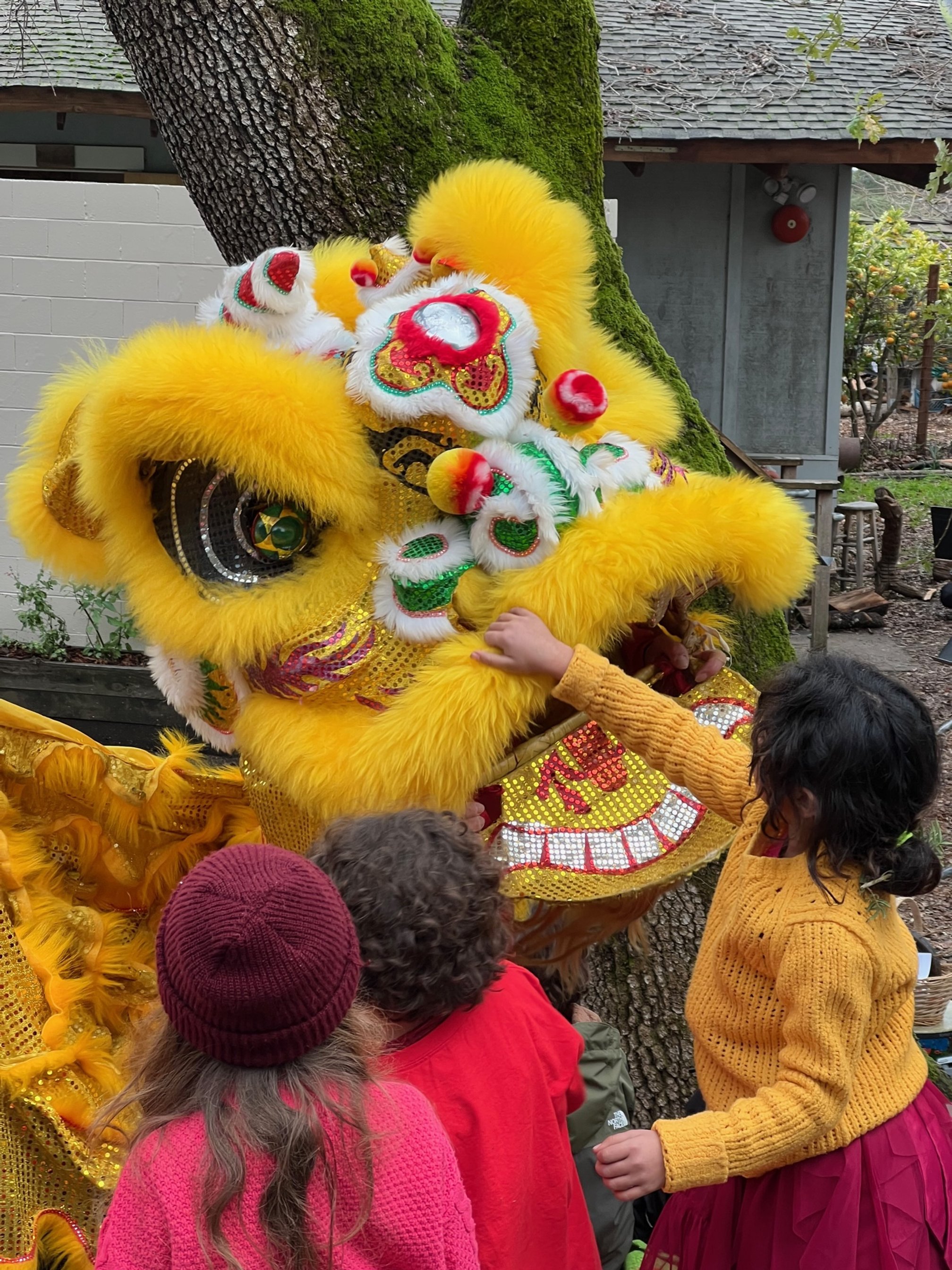 Welcoming the Year of the Rabbit