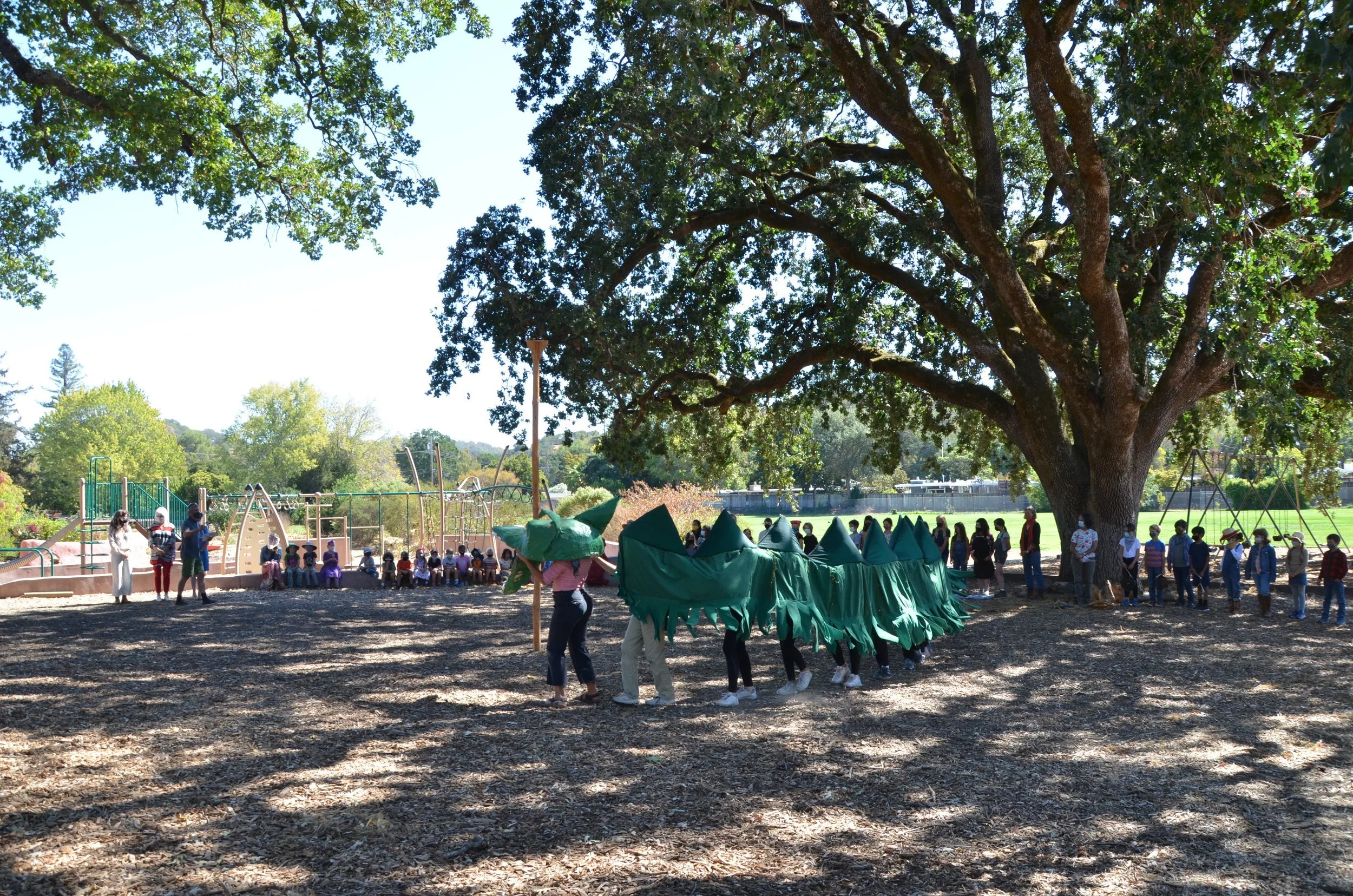 DSC_3600.JPG