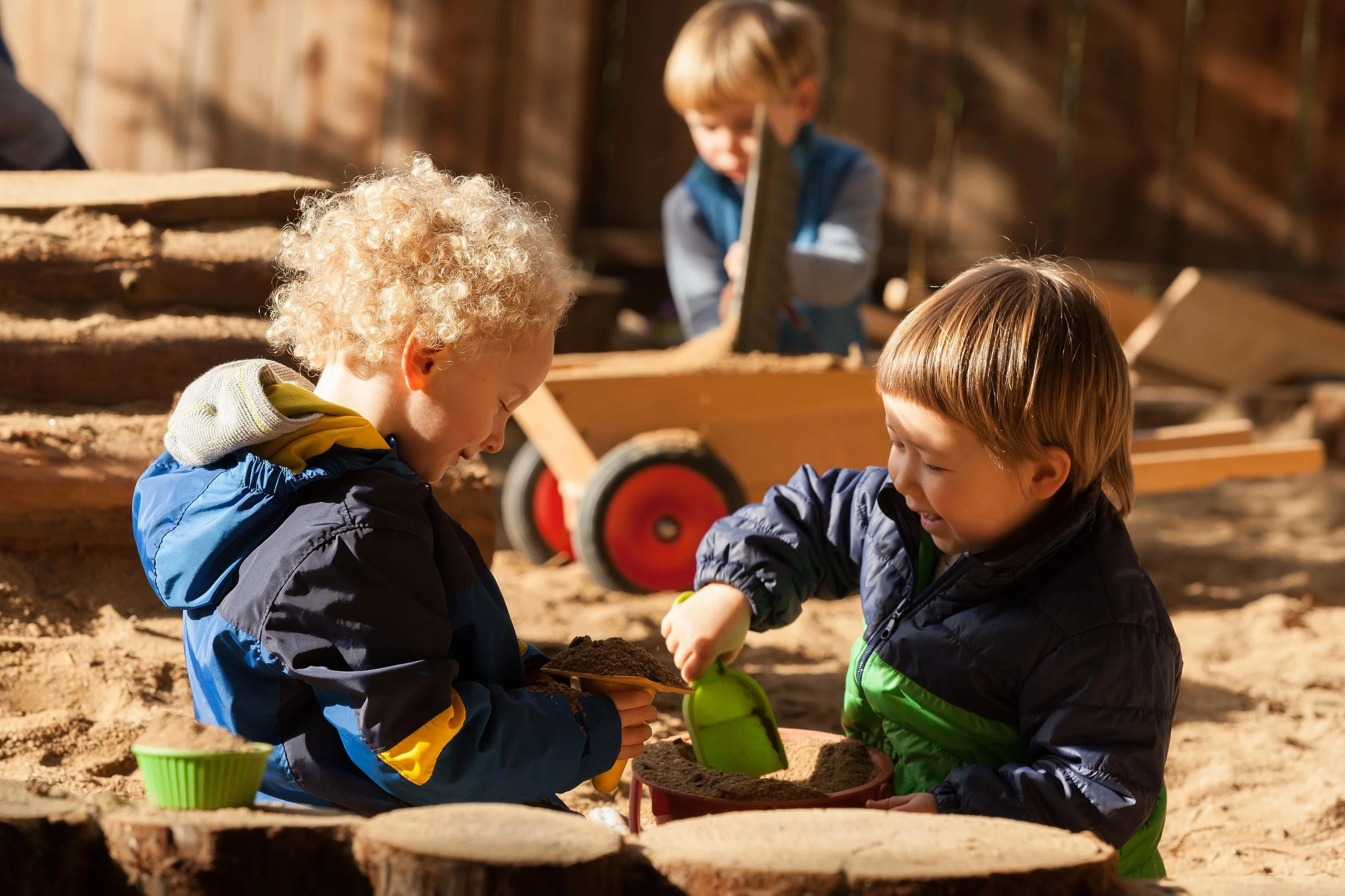 Early Childhood and Math