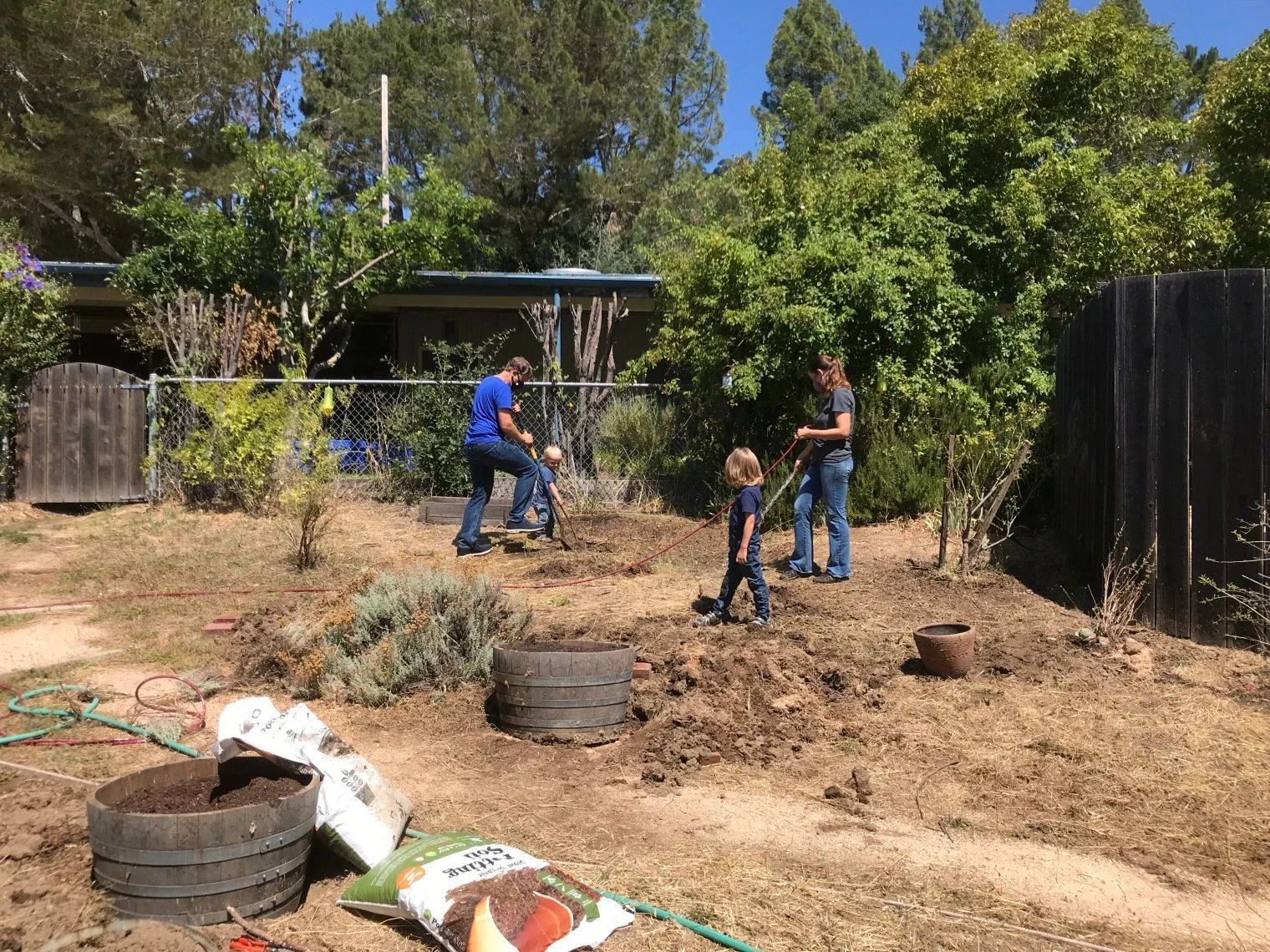 manzanita.jpeg