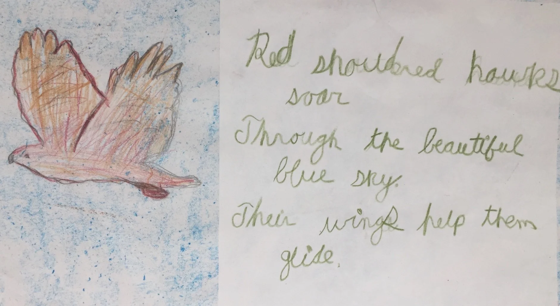 2nd Grade Haikus