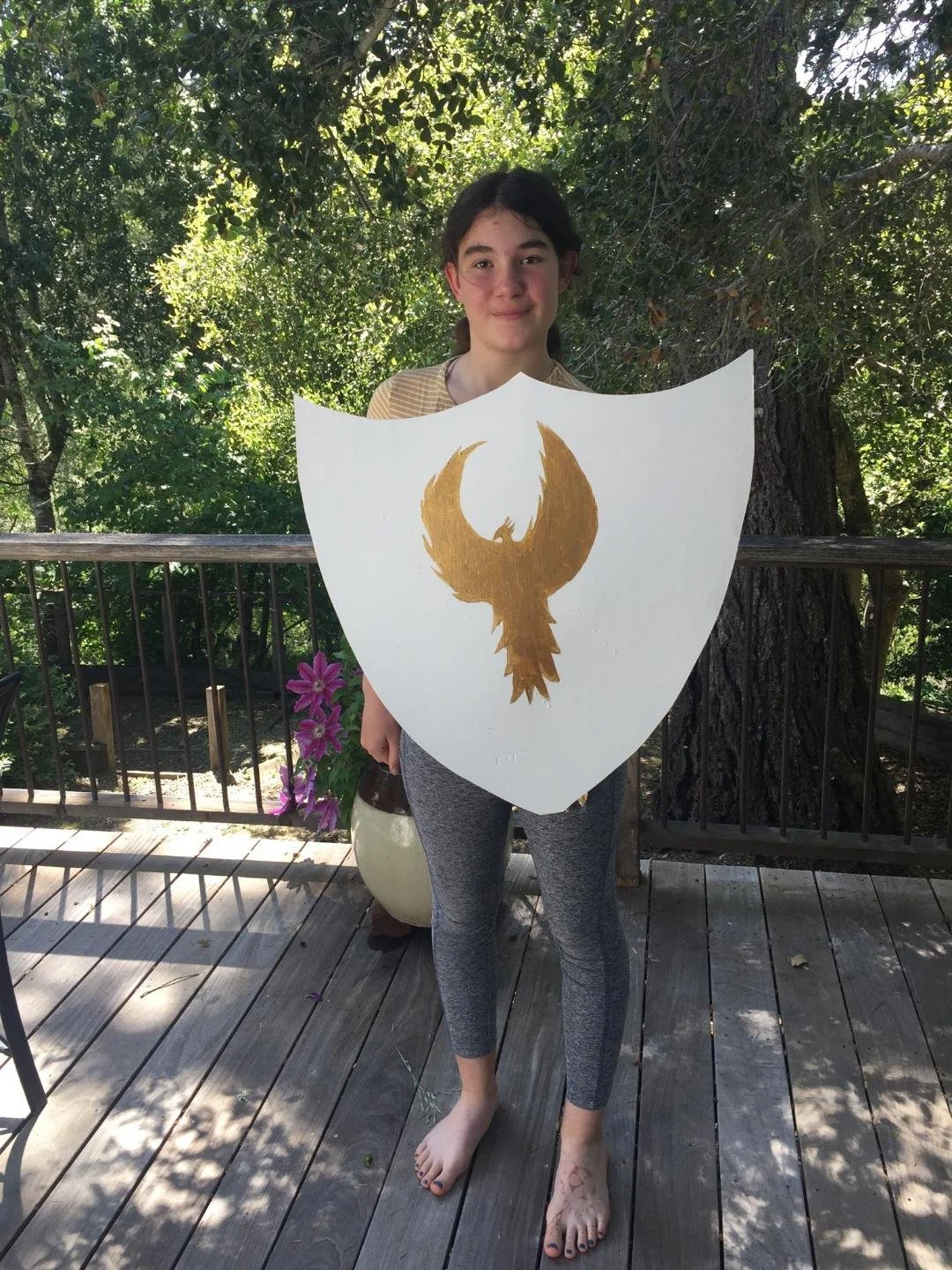 shield02.jpeg