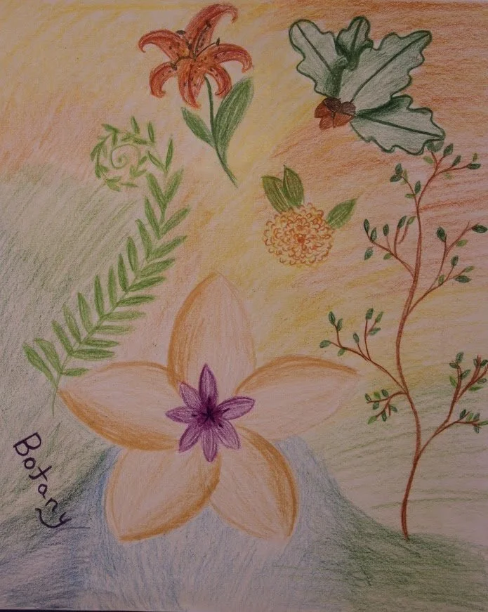 botany.jpeg