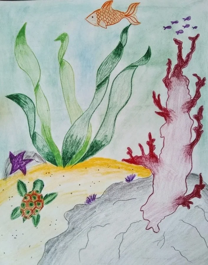 seaweed.jpeg