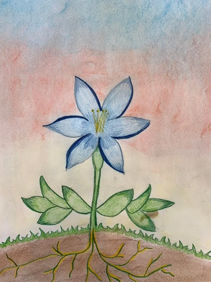 blueflower.jpeg