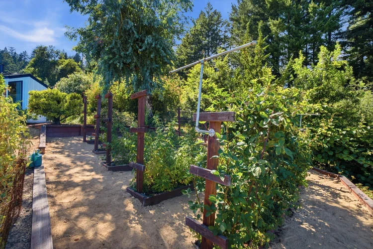 17575 Mountain Charlie Road — property photo 26