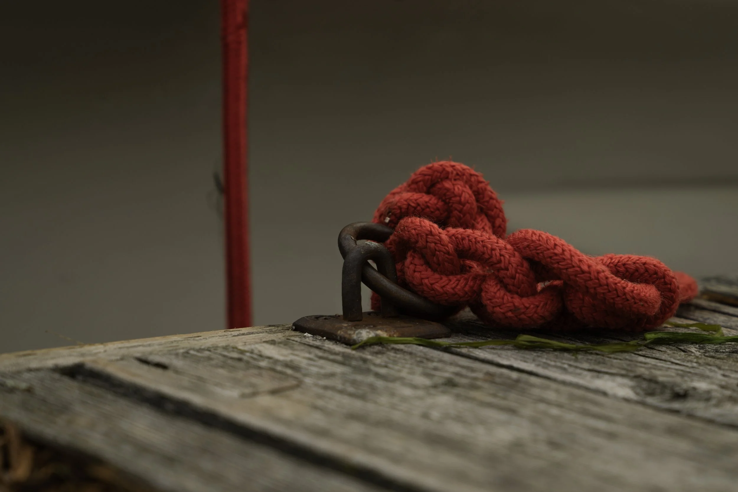 Red braided rope looped through a rusted iron ring on a weathered dock