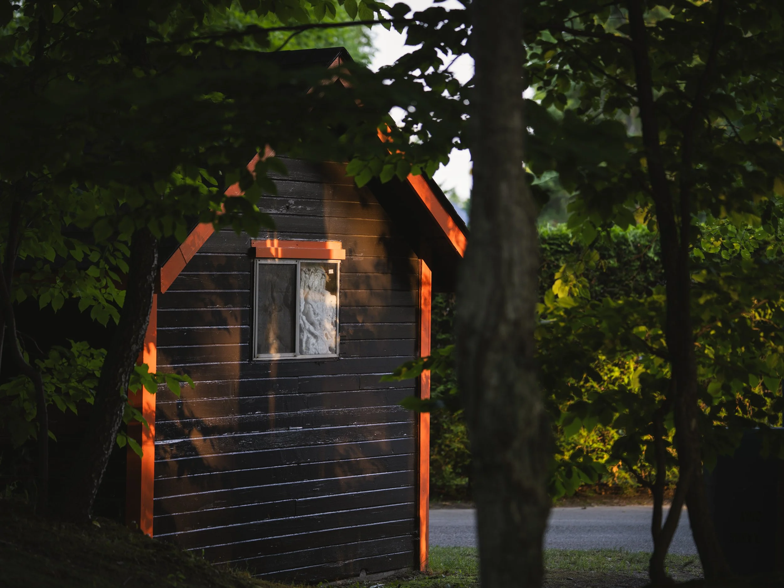 Dark timber cabin glowing with warm light among the trees at dusk