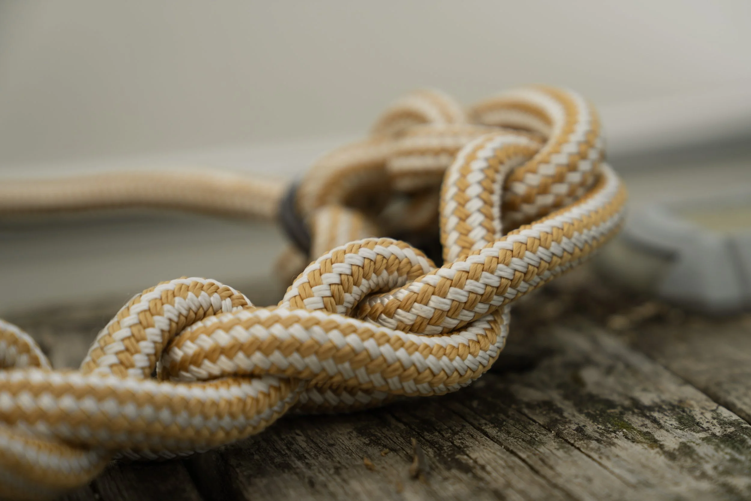 Close-up of a tan-and-white braided rope knot on weathered dock boards
