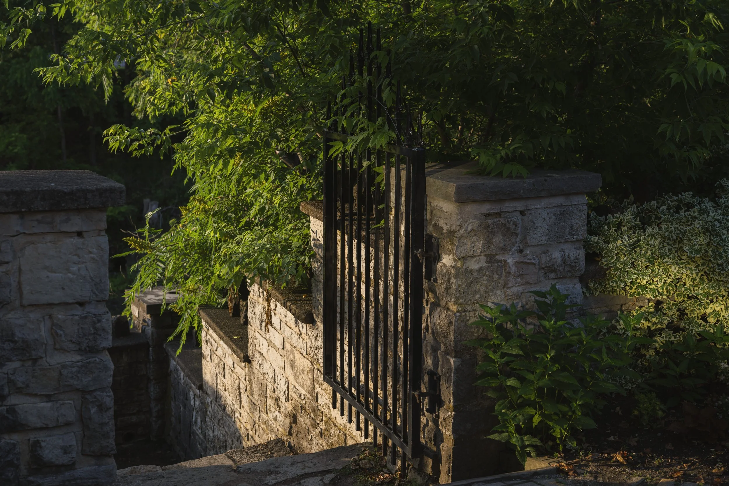Wrought-iron gate set between weathered stone pillars, framed by dense green foliage