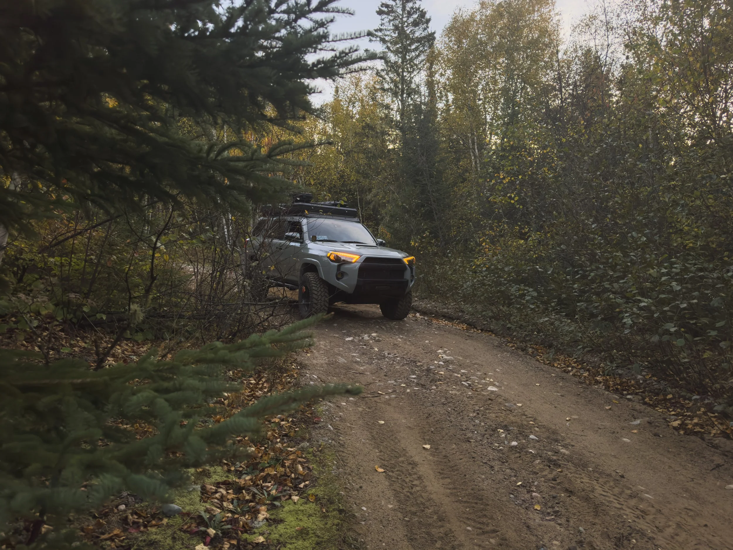 Toyota 4Runner SUV with a rooftop tent on a leaf-strewn dirt road through the forest