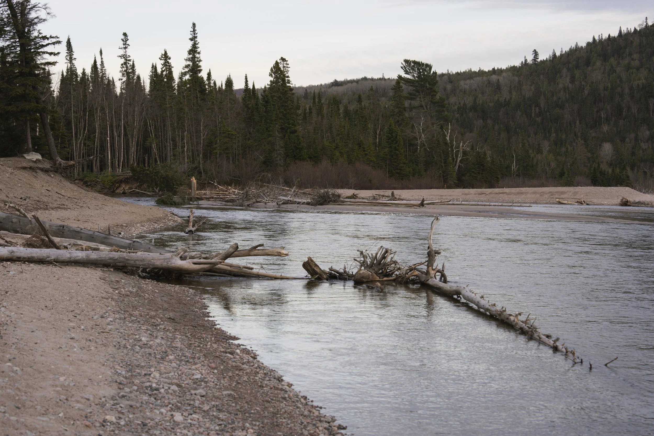 Weathered driftwood log on a gravel bar where a river meets forested hills