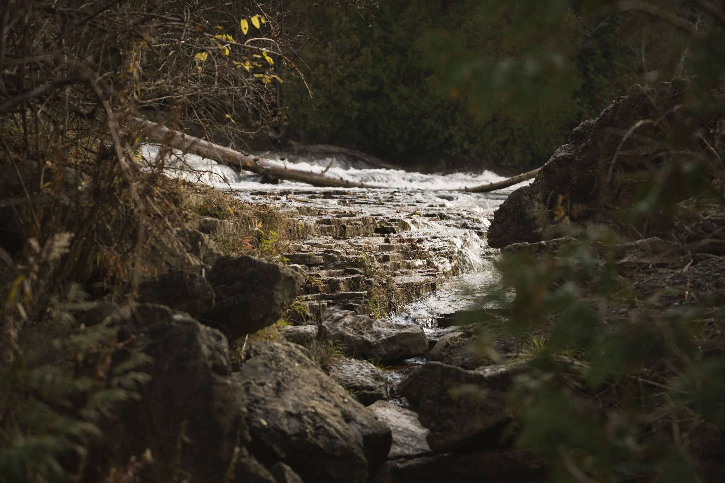 Small waterfall spilling over rock ledges in a narrow forested stream