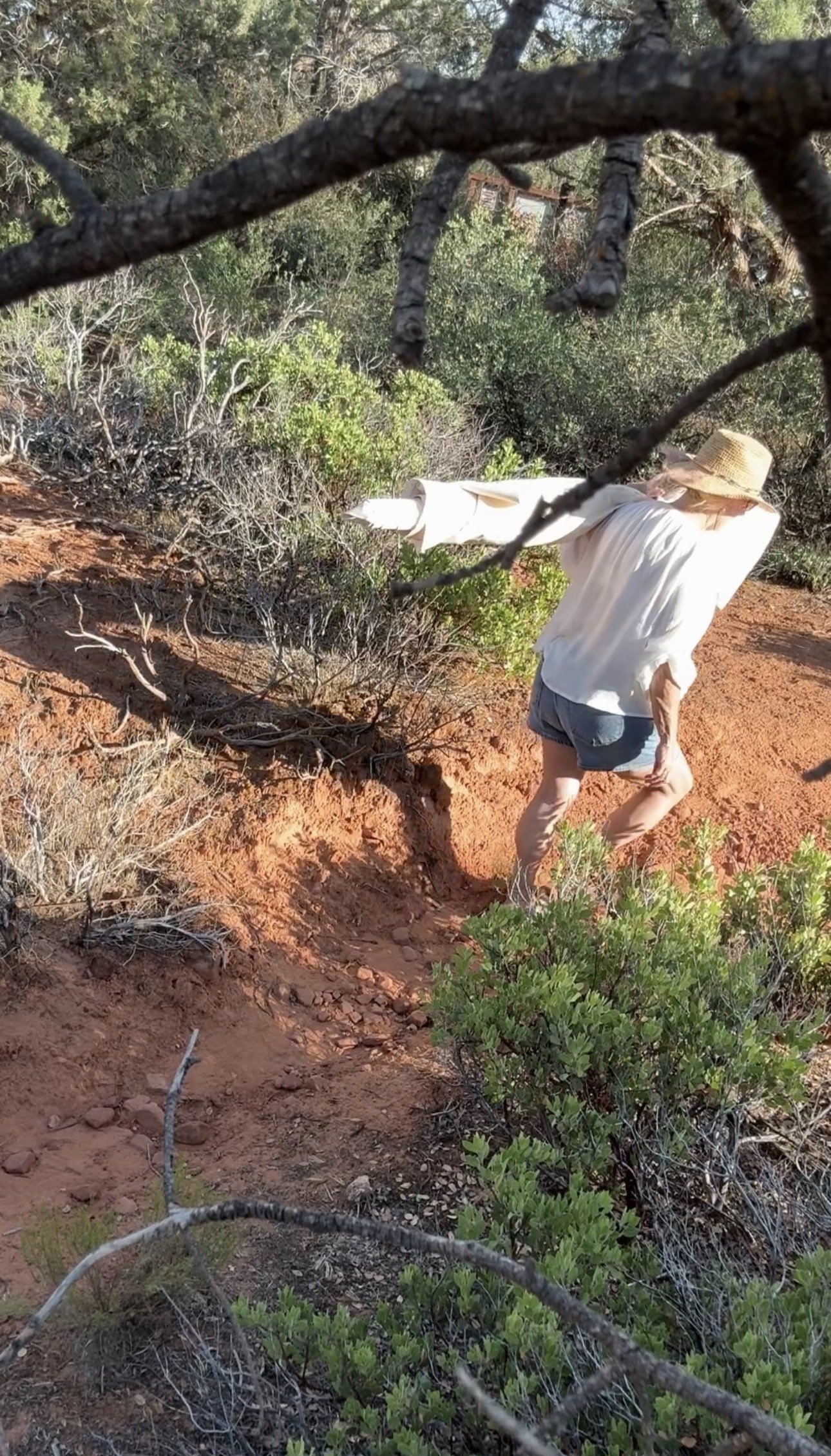 A woman in a white shirt, denim shorts, and a straw hat walking on a dirt trail through a bushy landscape with green shrubs and trees.