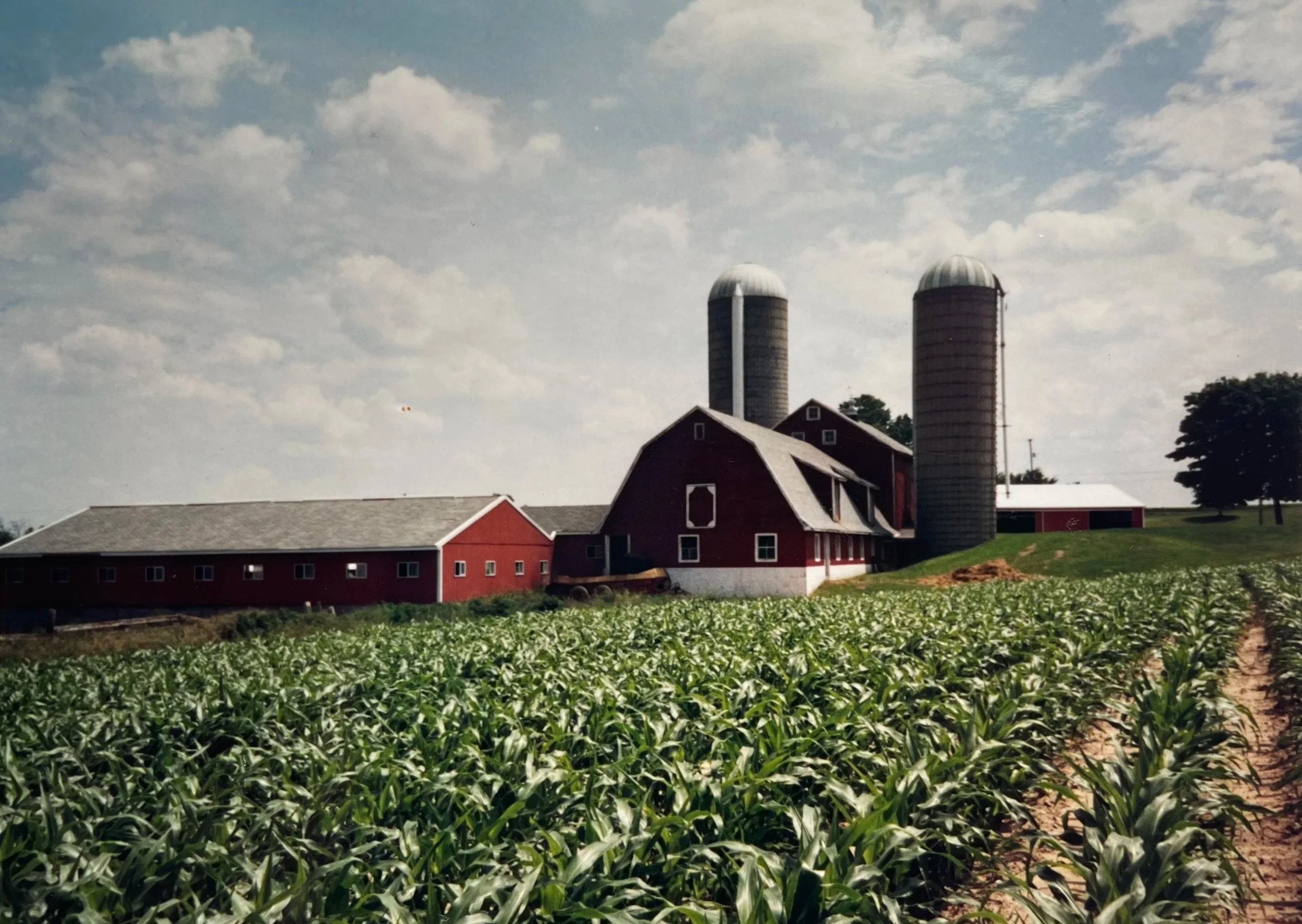 A farm with a barn, two silos, and a crop field in the foreground under a cloudy sky.