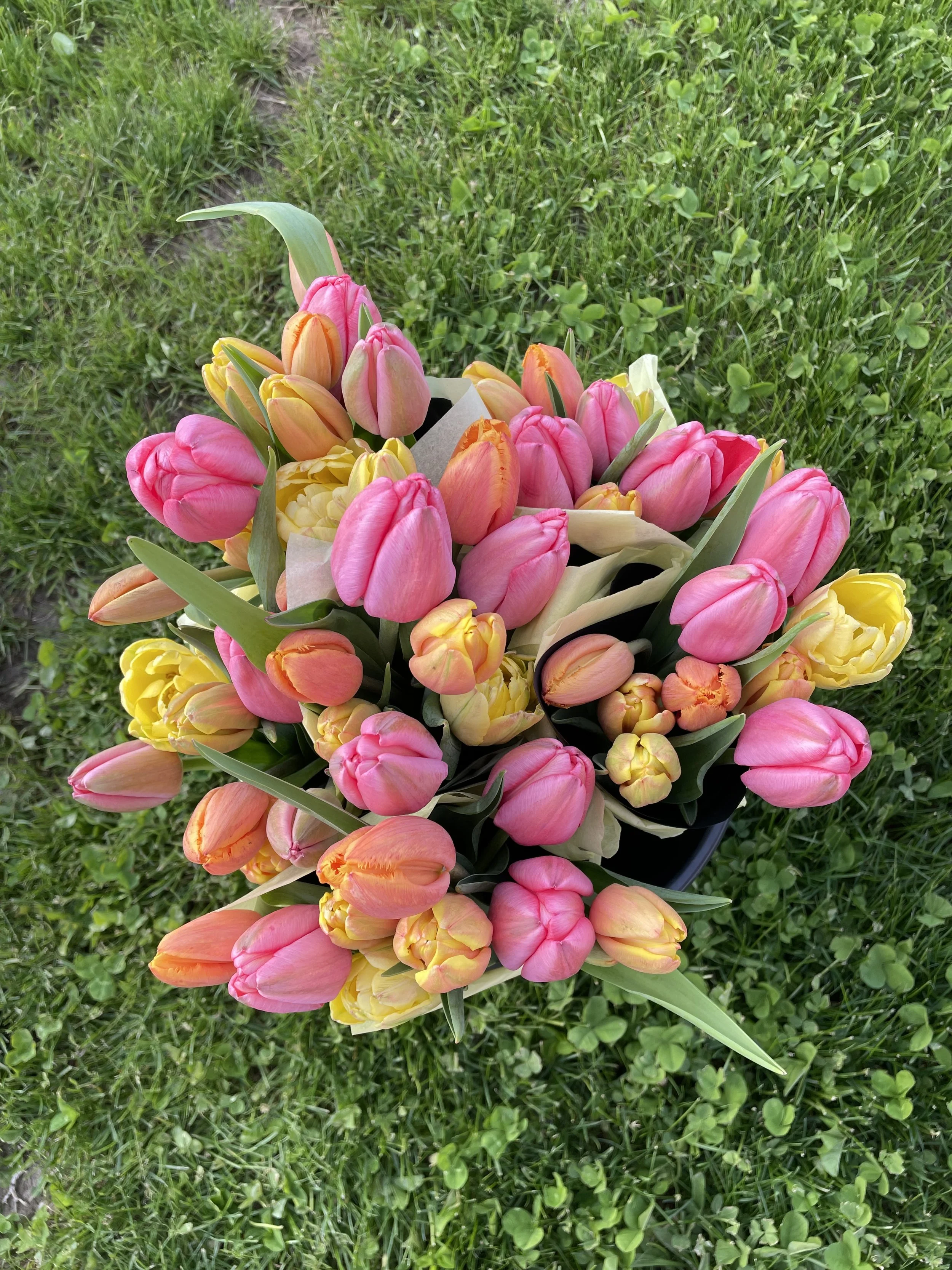 A bouquet of pink, orange, and yellow tulips on green grass.