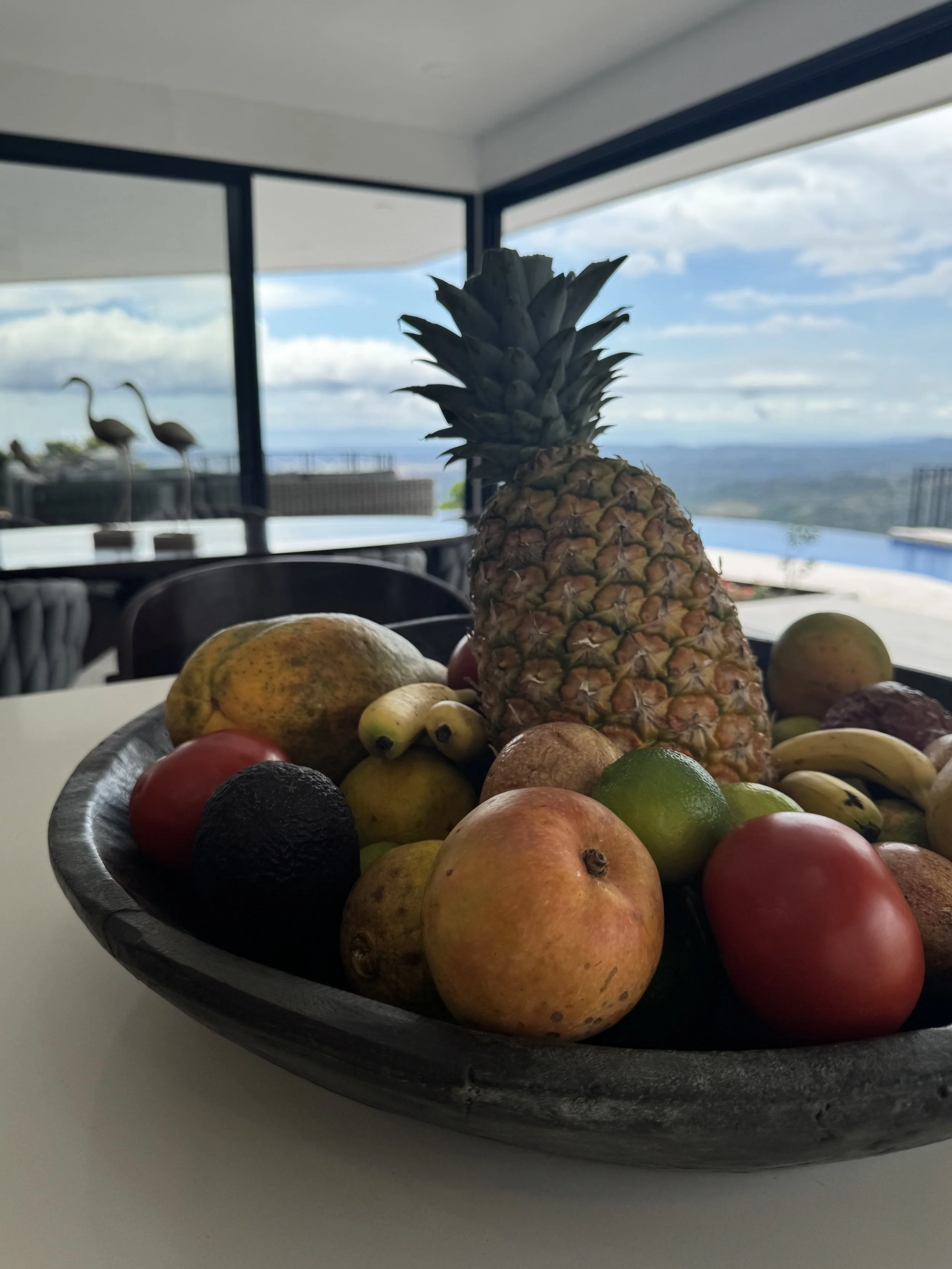 IMG_7896.jpeg