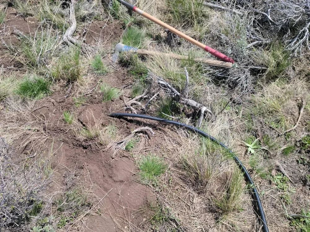 soil+moistures+sensors2.webp