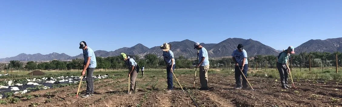 Highwater+farm.webp