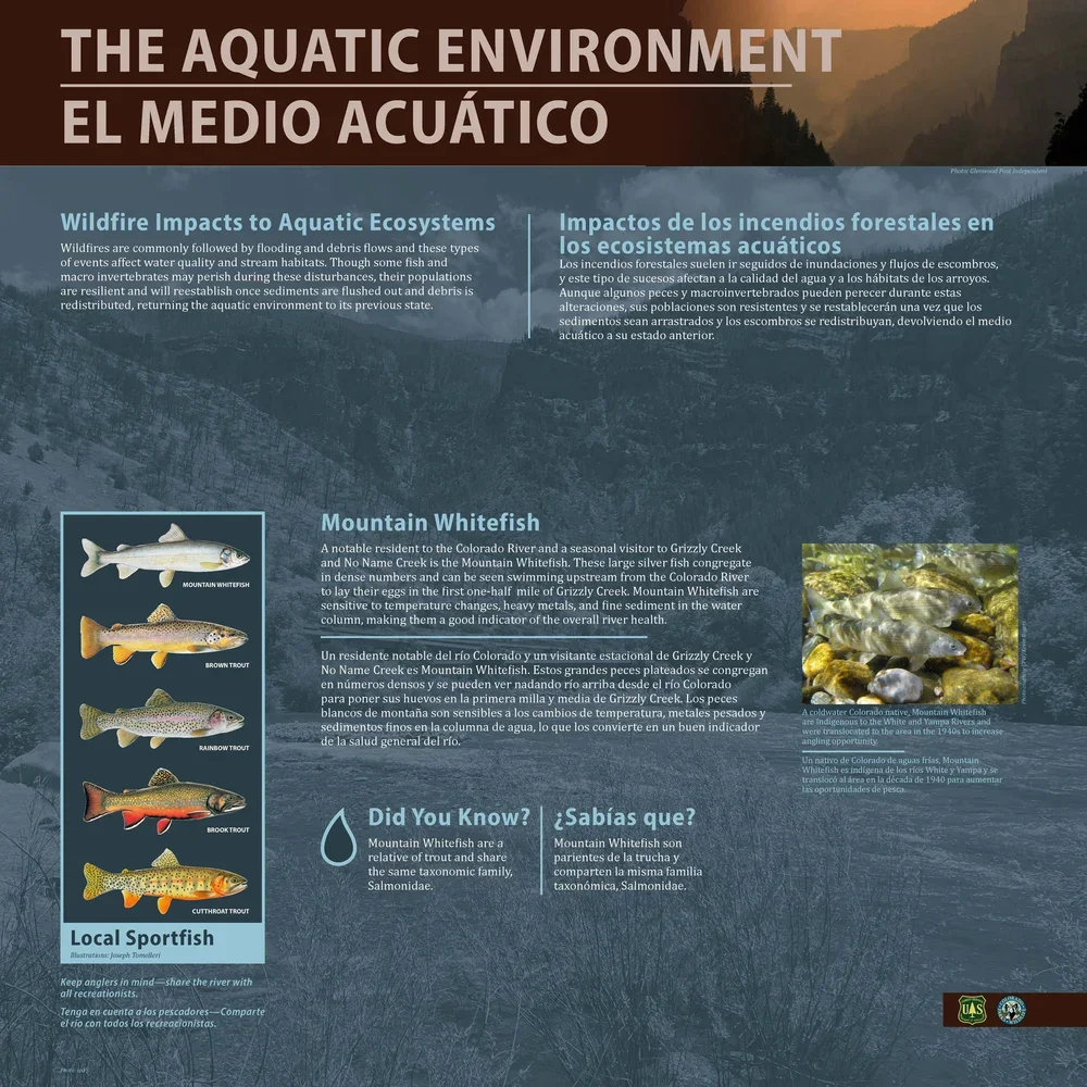 Boatramp_Grizzly+Creek_fish_FINAL.webp
