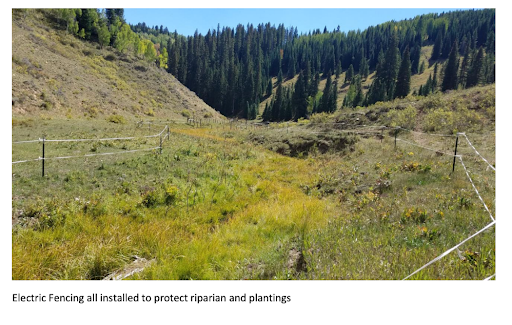 Riparian Restoration Program 3.png