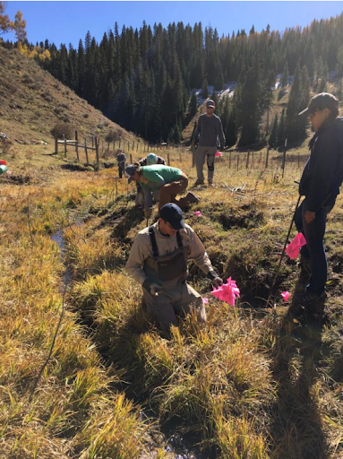 Riparian Restoration Program 4.png