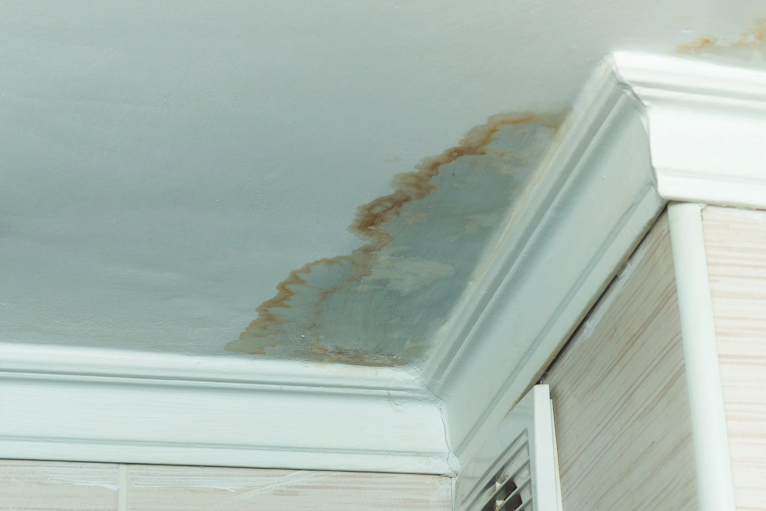 Mold & Moisture Inspection