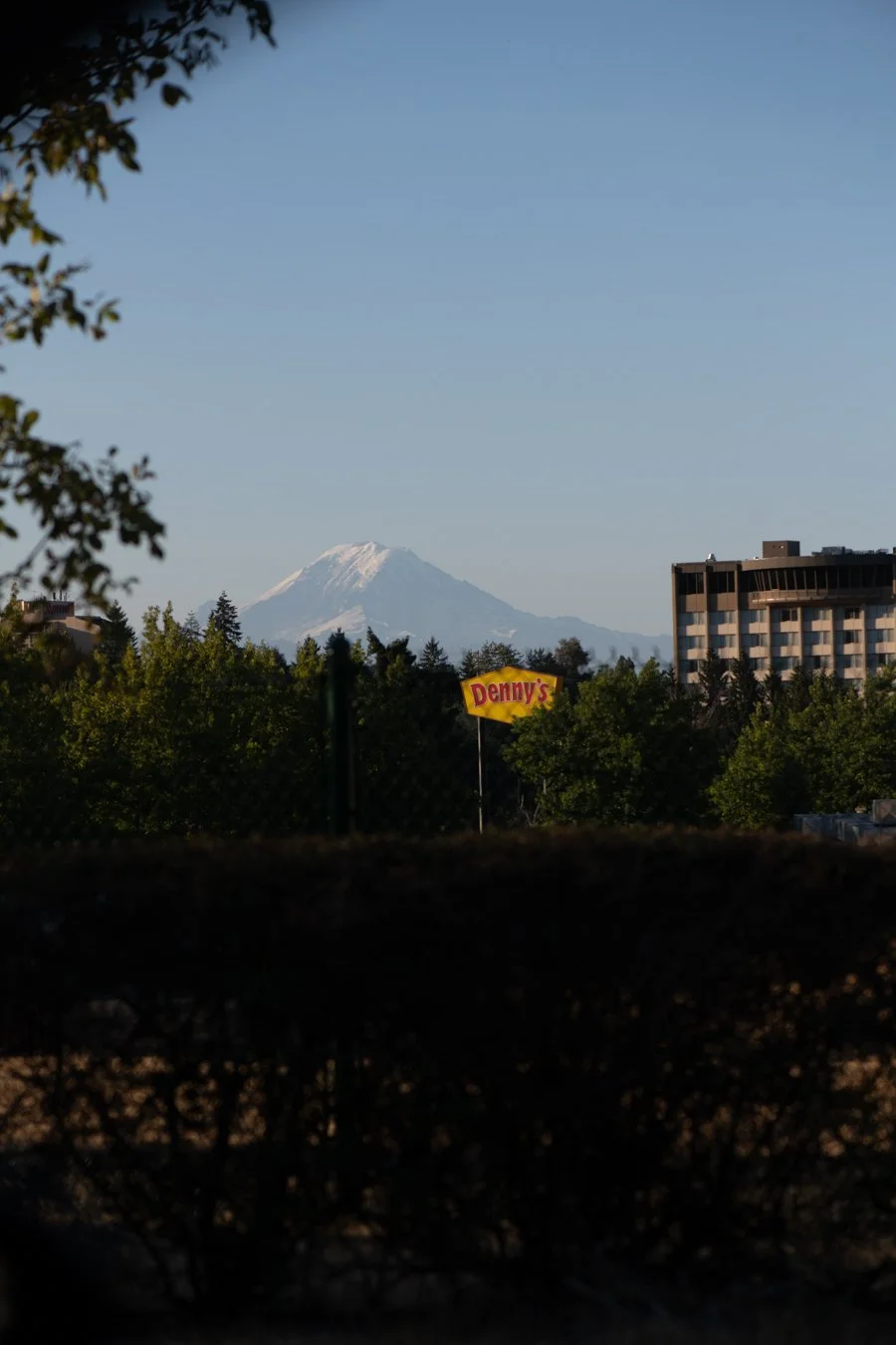_DSC3171.jpg