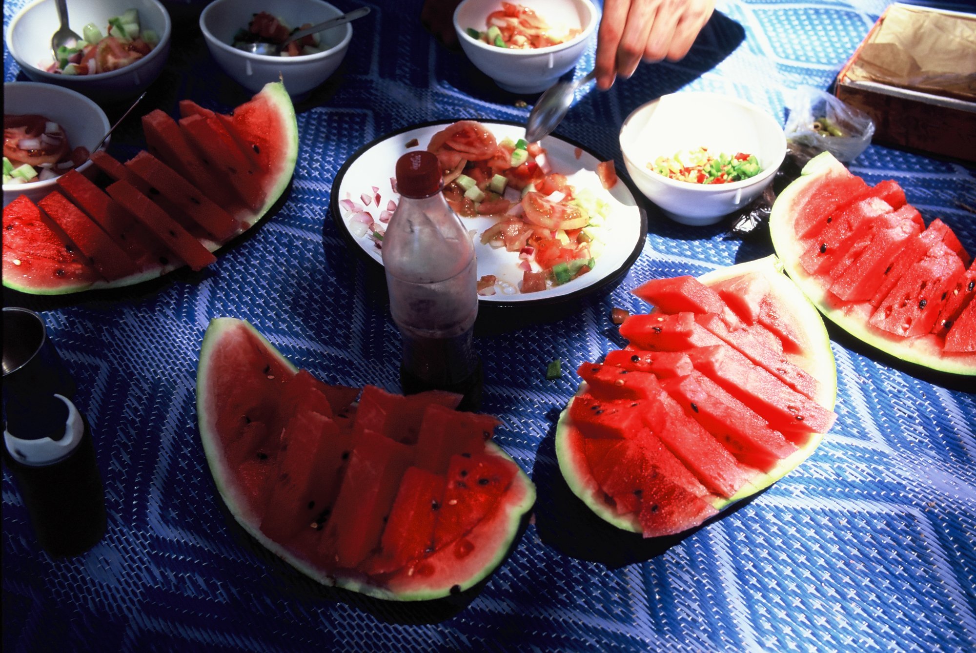 C001493-R2-29-30.jpg