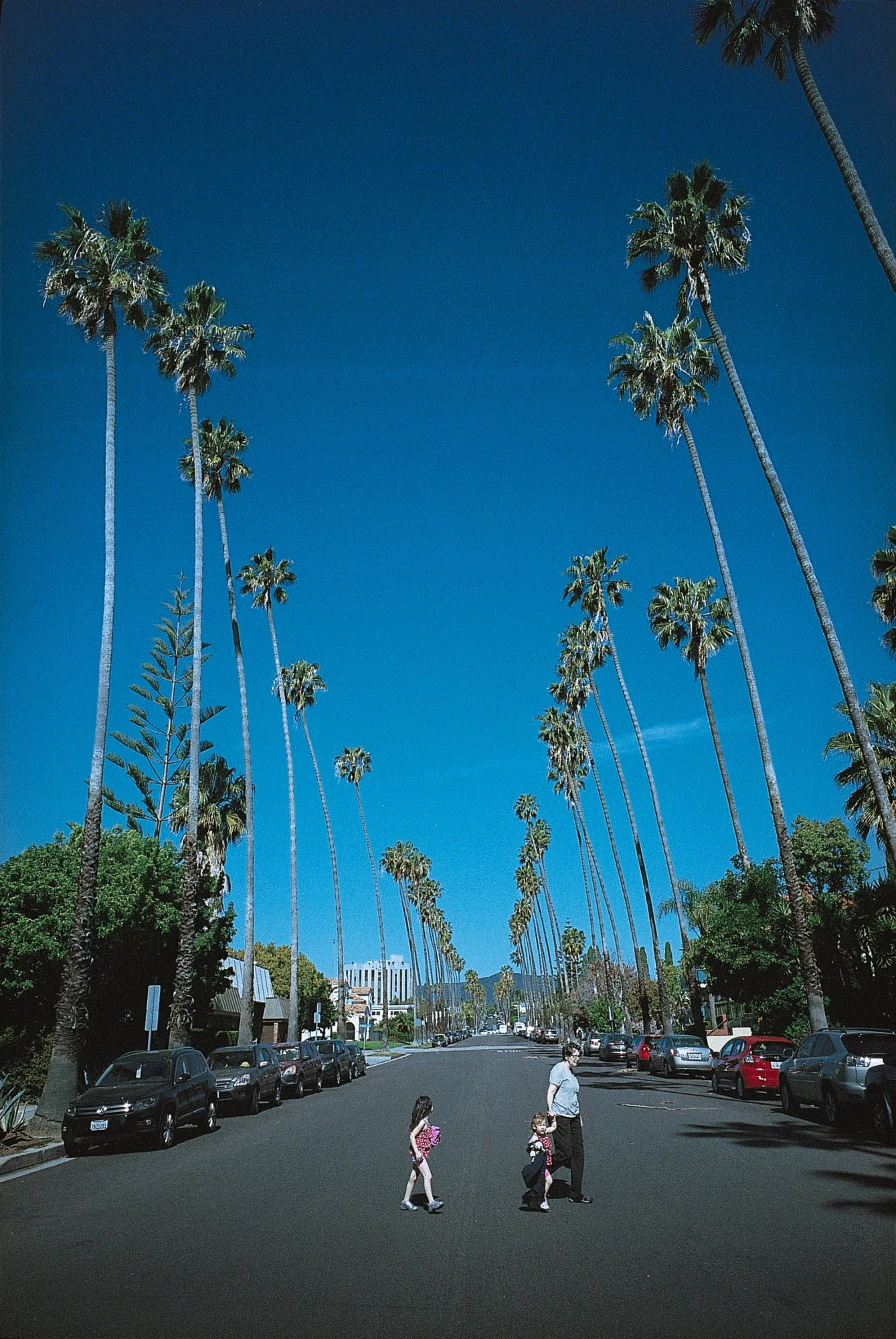 9037_20.jpg