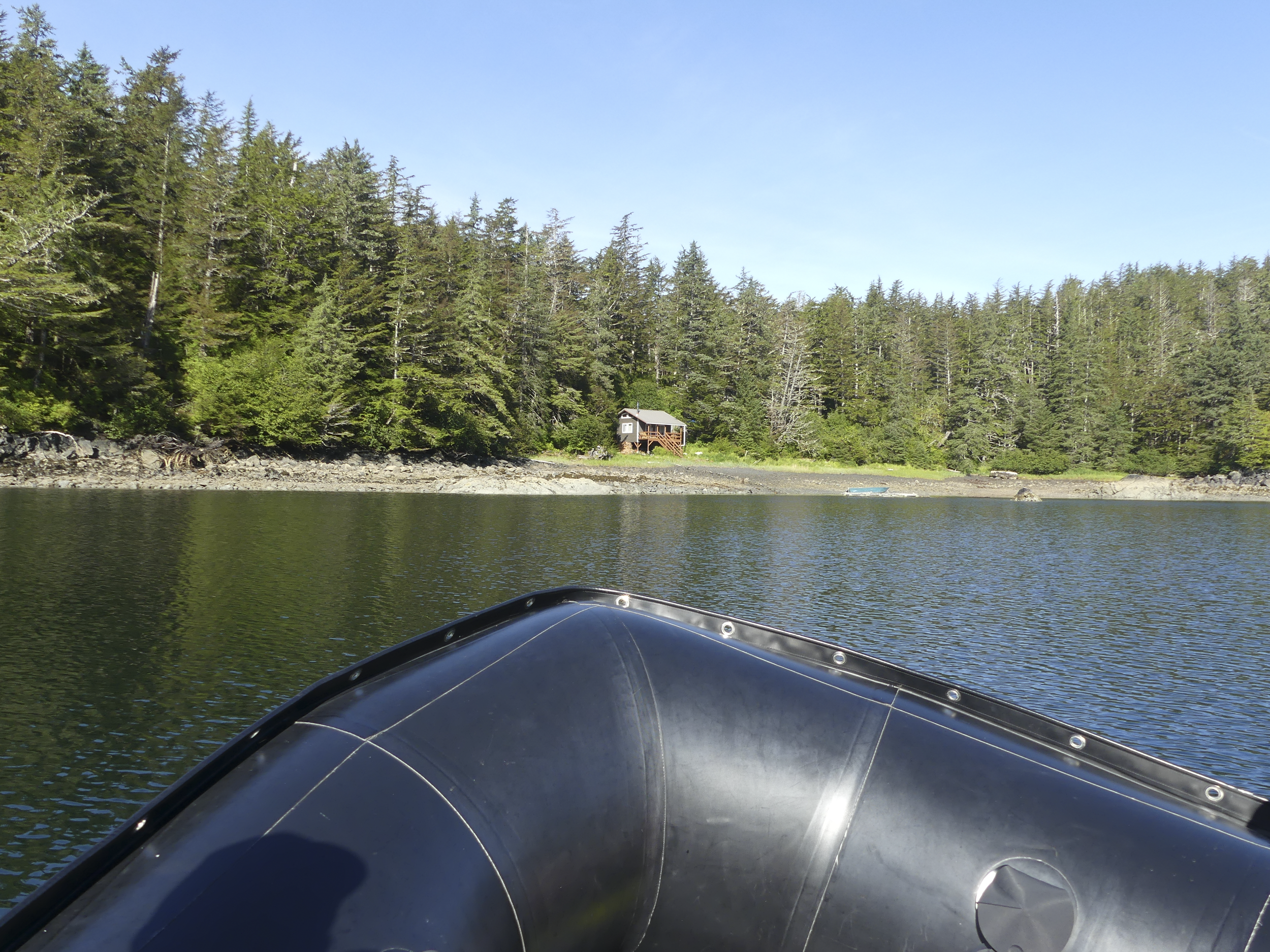 Sitka Eagles Excursion.png