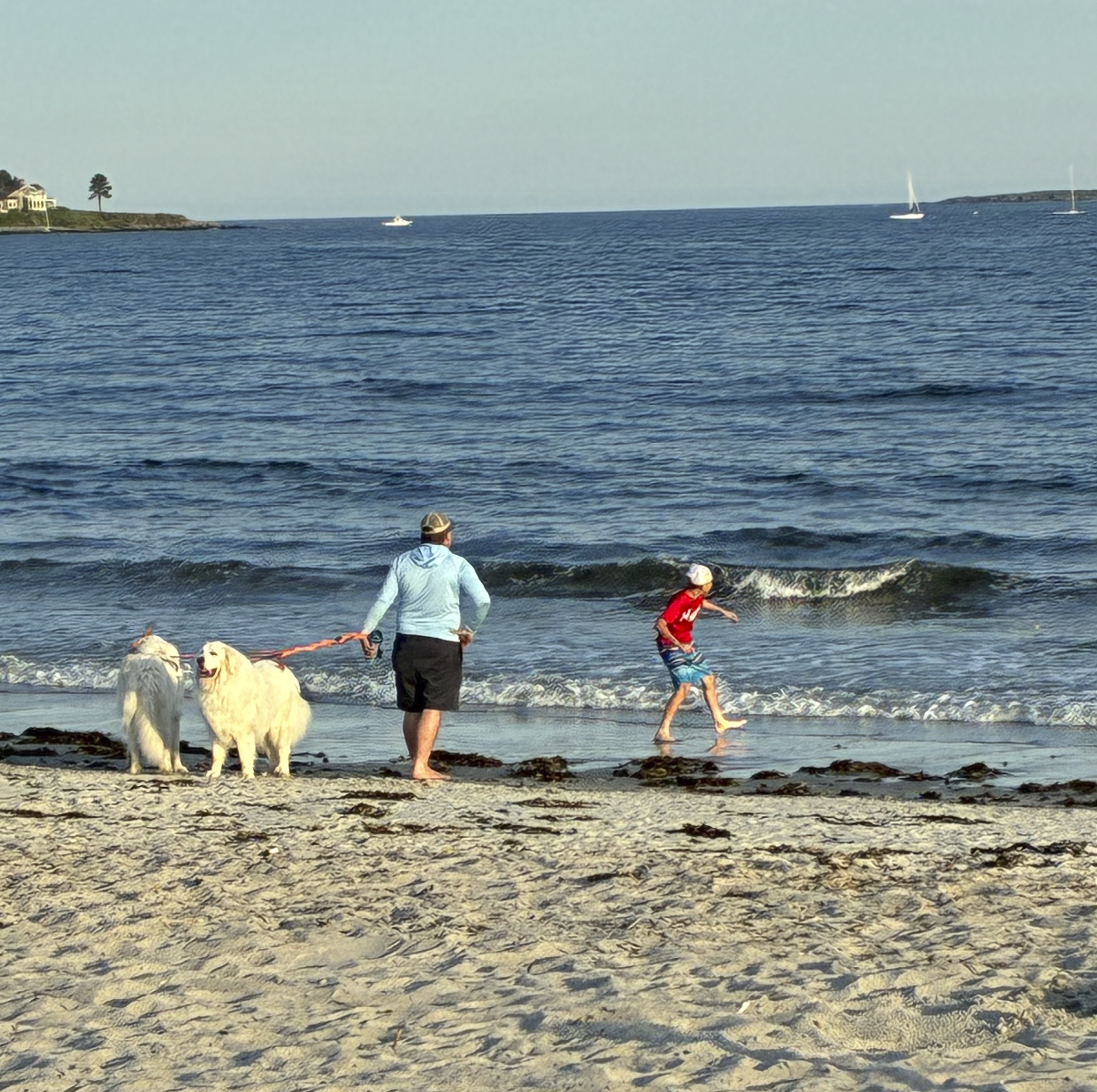 Pine Point MAine.png