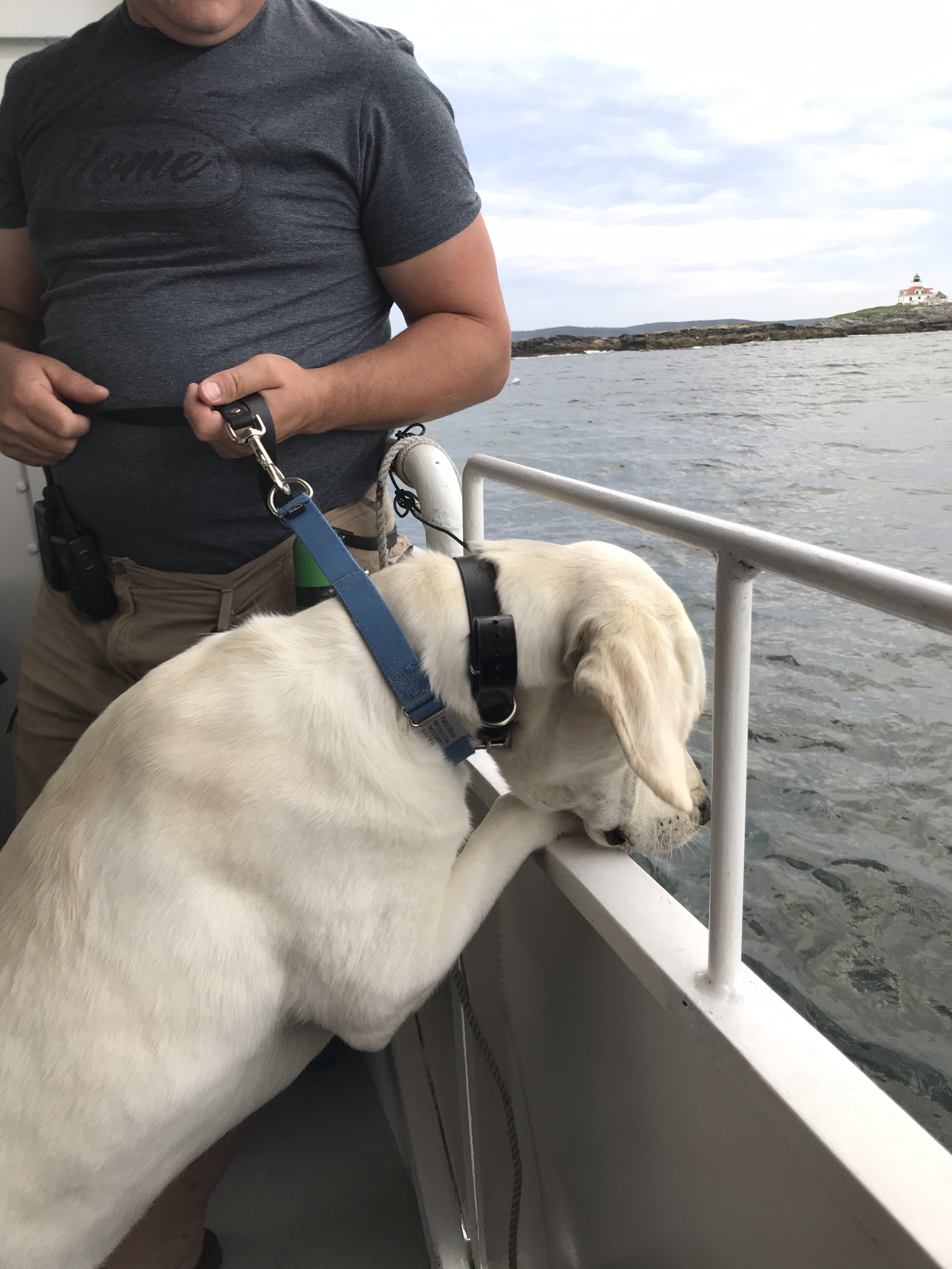 Dog Friendly Sunset Cruise Maine.png