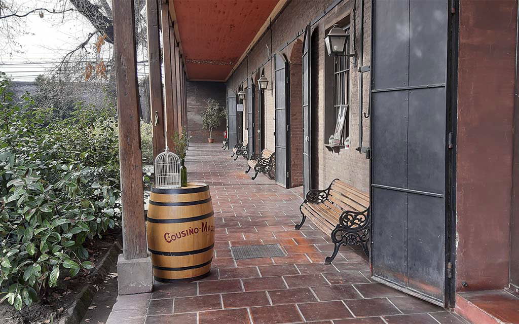 Chile-Dream-Tours-City-and-Wine-1.png