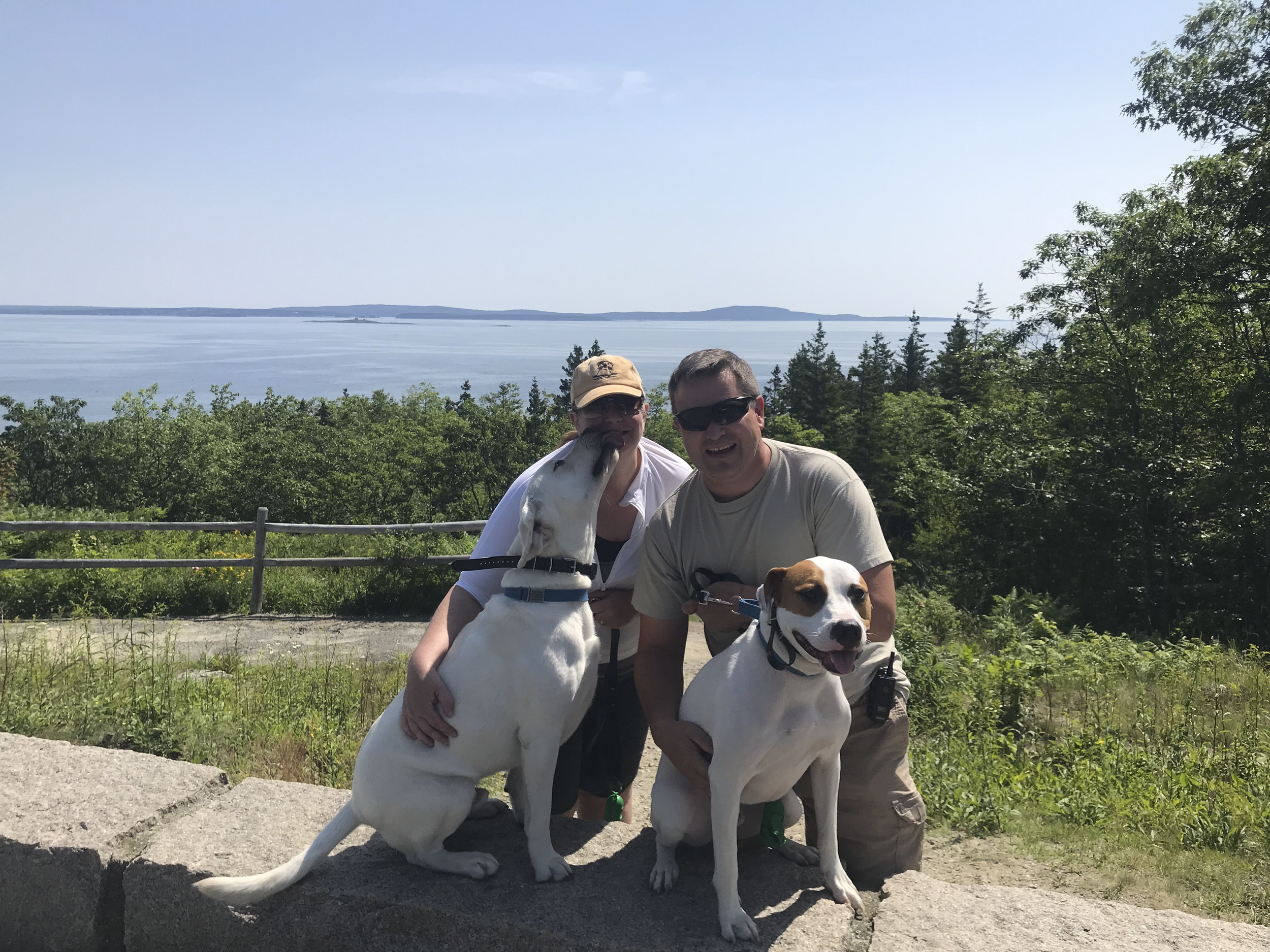 Mid-Coast to Acadia, Maine:   A Family & Dog-Friendly Road Trip