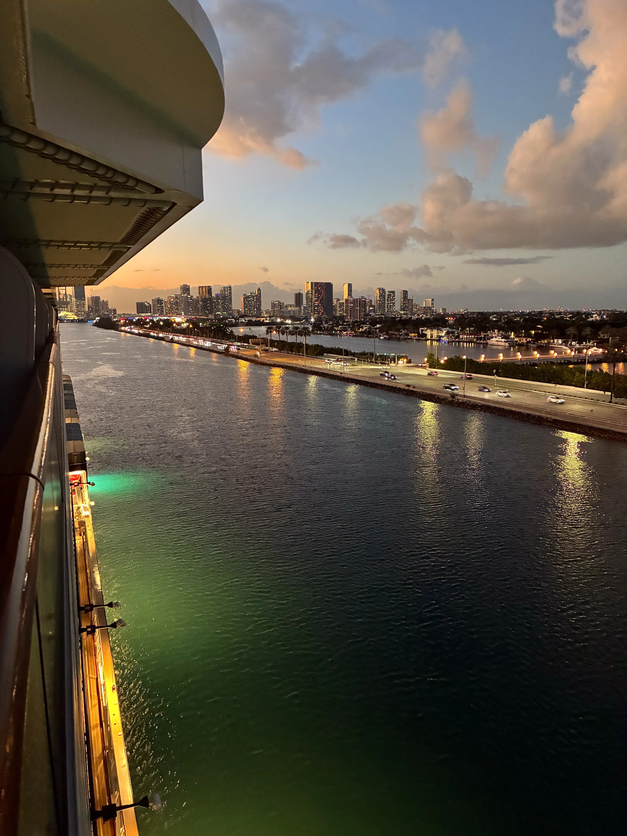 View from a cruise ship balcony over a river with city skyline in the distance, early evening with cloud-filled sky.