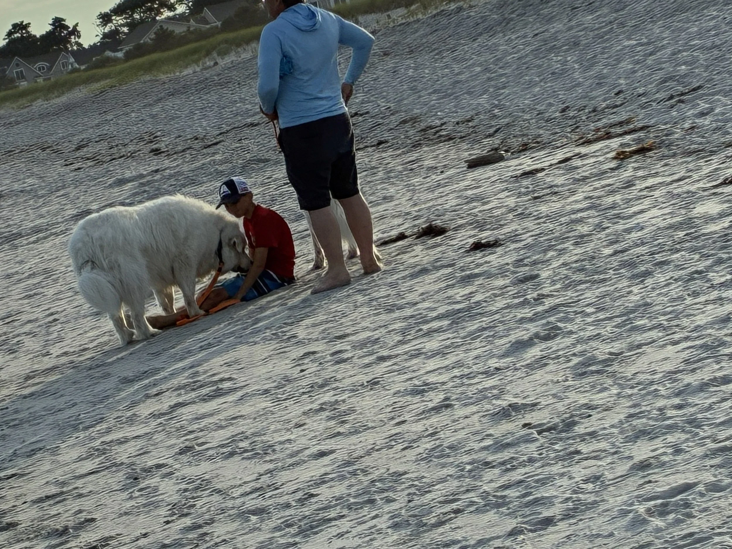 A beach day on the Maine coast, with the dog.