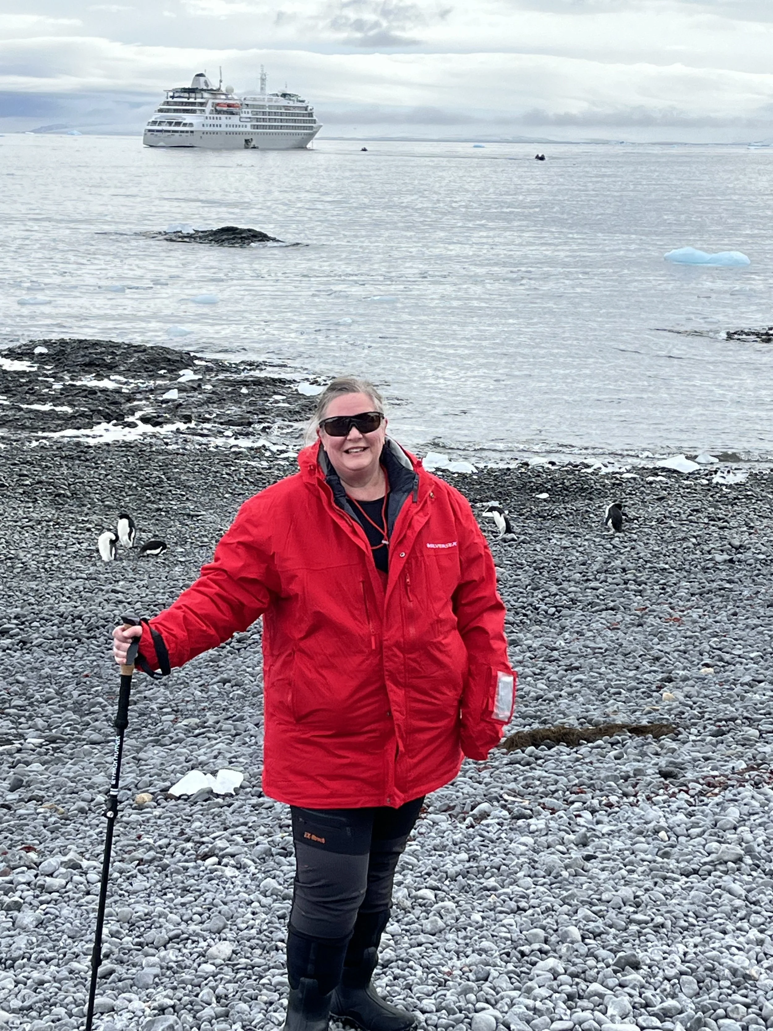 Penguins, whales, seals - everywhere!  2 landings a day to see all the wildlife