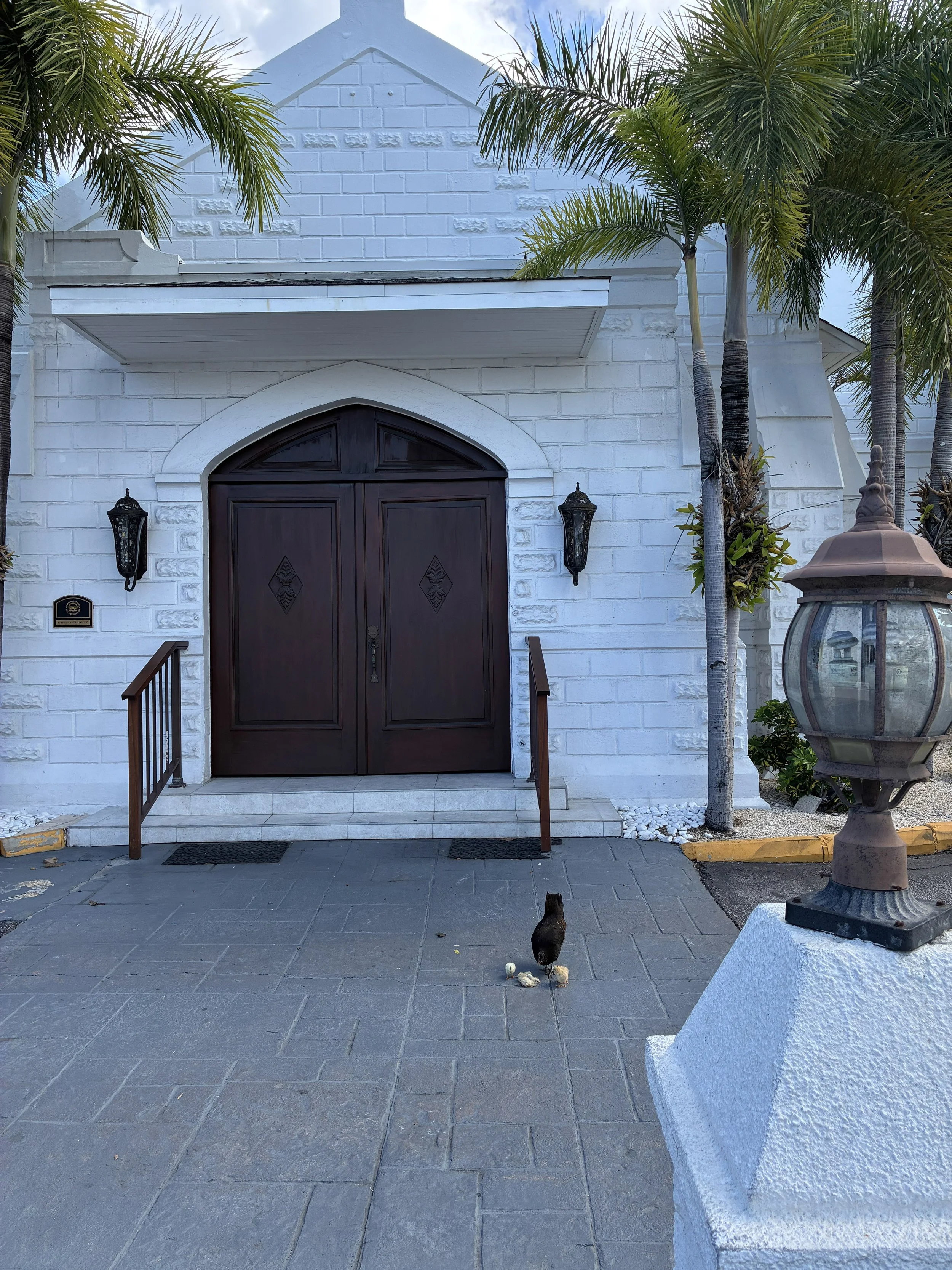 A white church among palm trees.