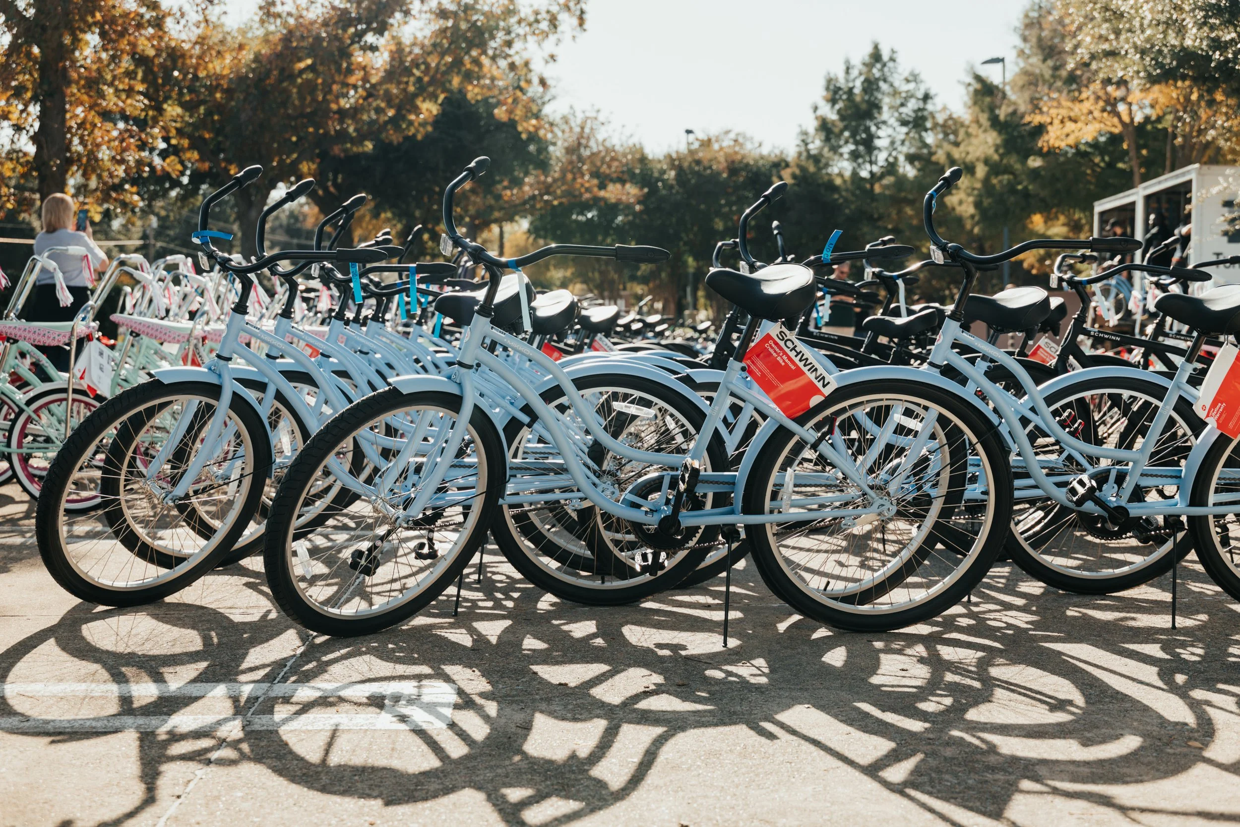 Row of bicycles parked outdoors on a sunny day with trees in the background.