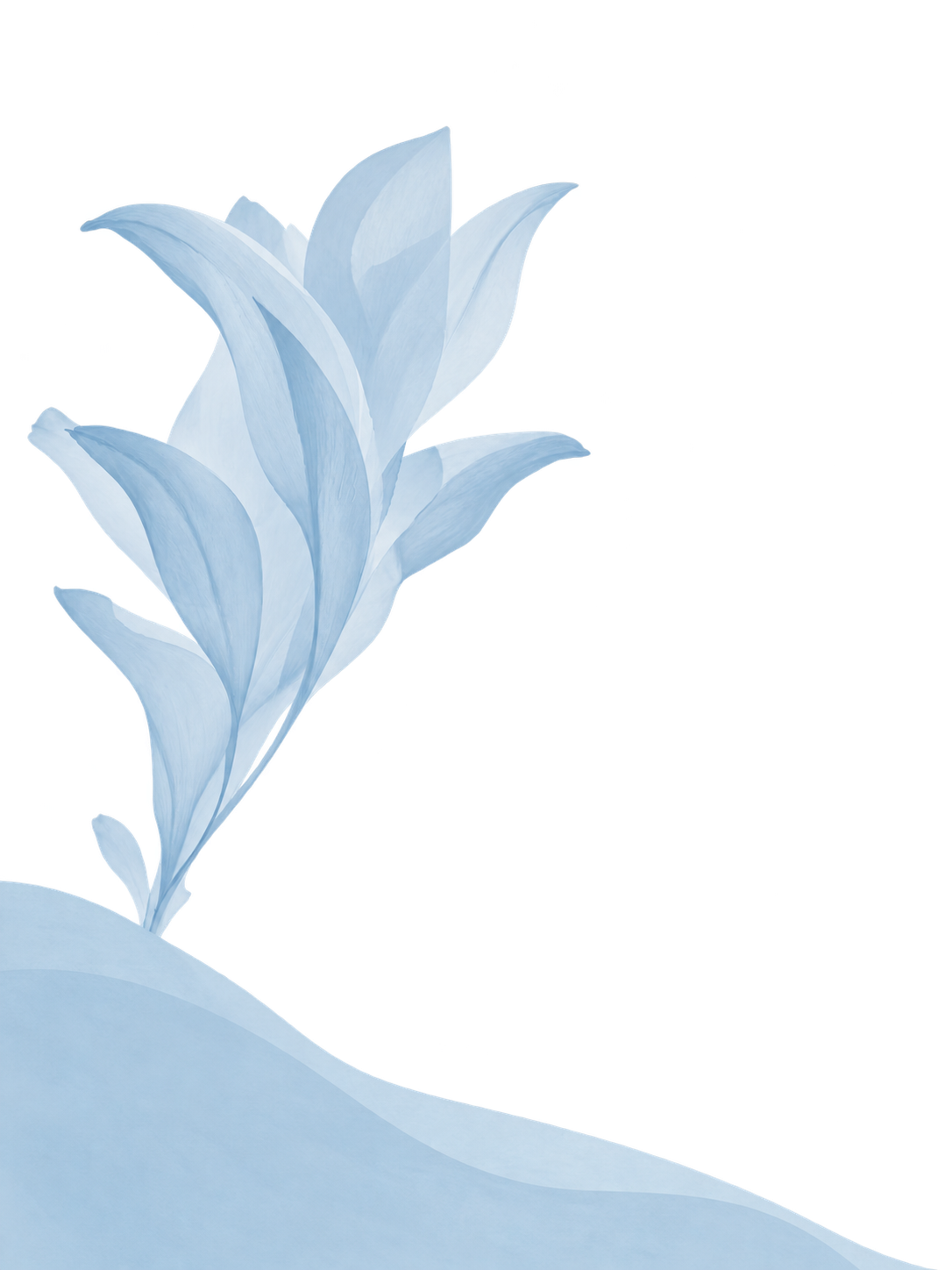 A blue and white flower with a few leaves emerging from a blue mound on a white background.