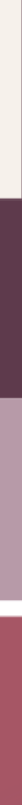 K.BeautyStudio Aberdeen colour palette in a long and thin vertical rectangle shape; creme, dark mauve-purple, dusty light purple and deep pink-crimson.