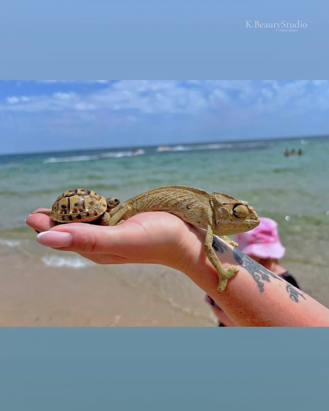 Kate from K.BeautyStudio Aberdeen on holiday, holding a tortoise and a chameleon on the beach, with a classic French tip manicure, with the ocean and sky in the background.