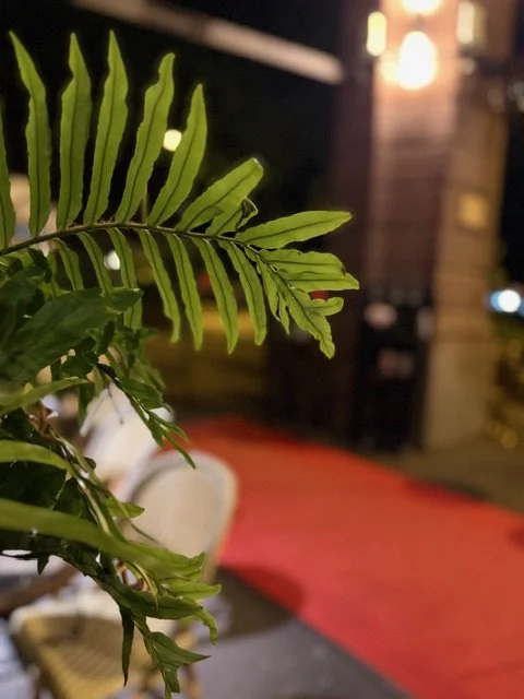 IMG_5037.jpeg