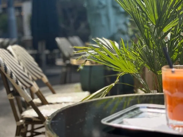 IMG_2558.jpeg